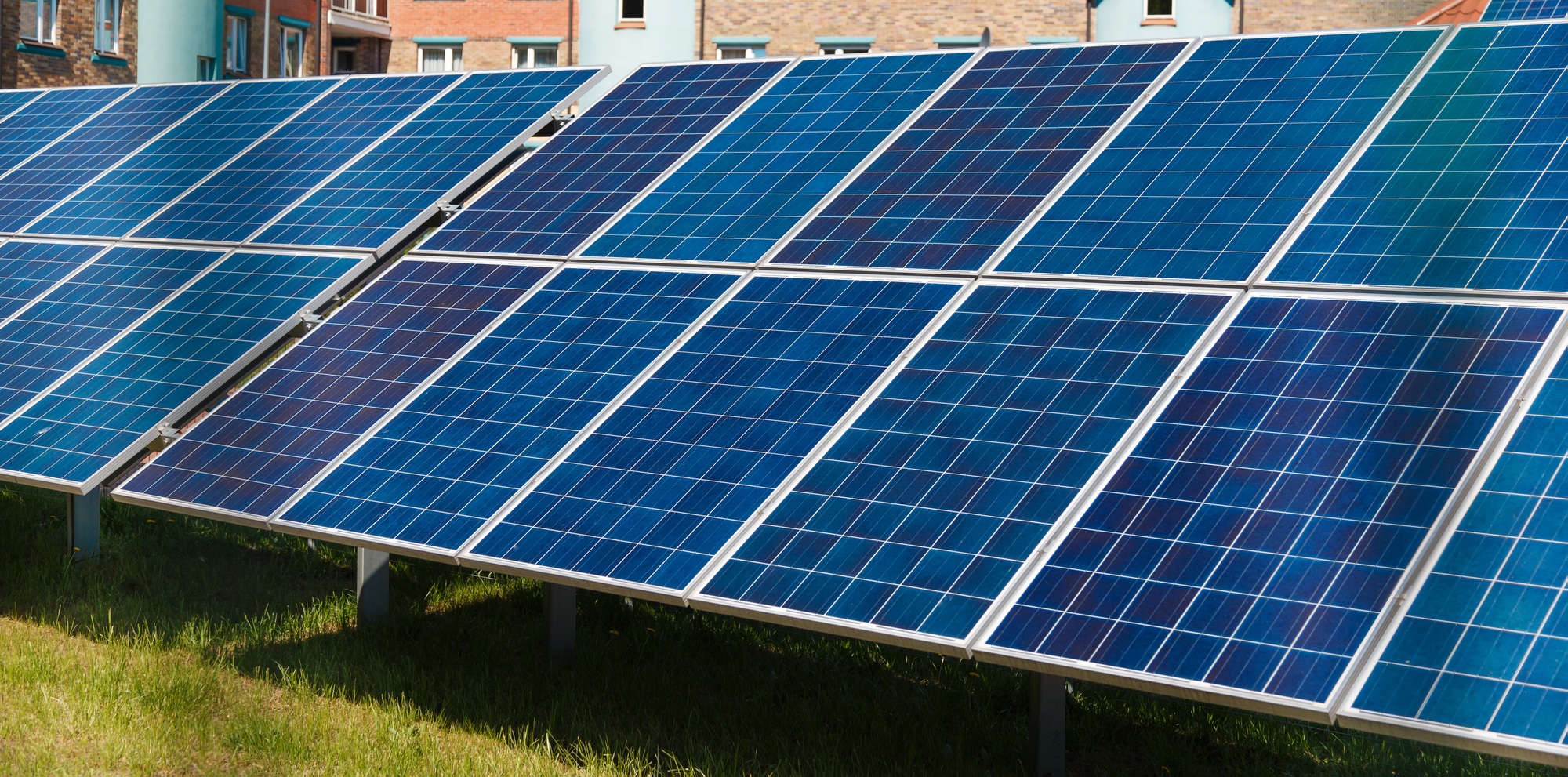 Lion Energy solar panels