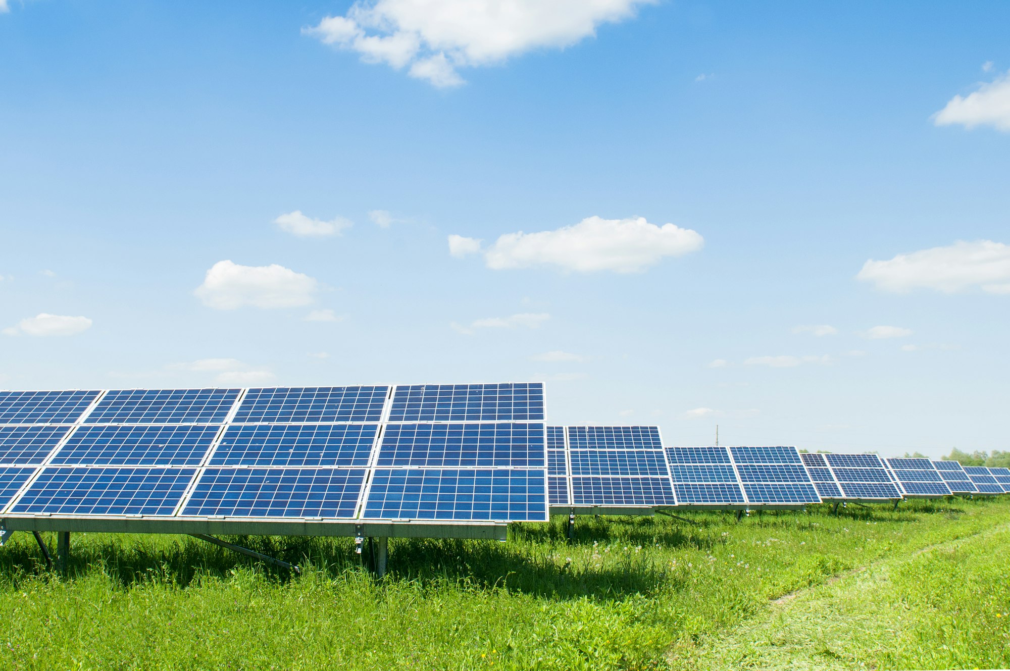 Earnings from 1 Acre of Solar Panels