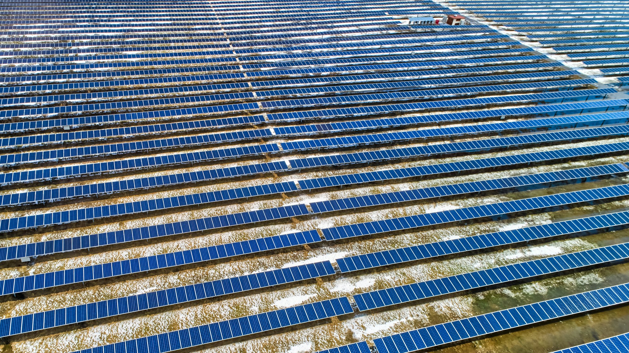 Solar Panel Cleaning Services