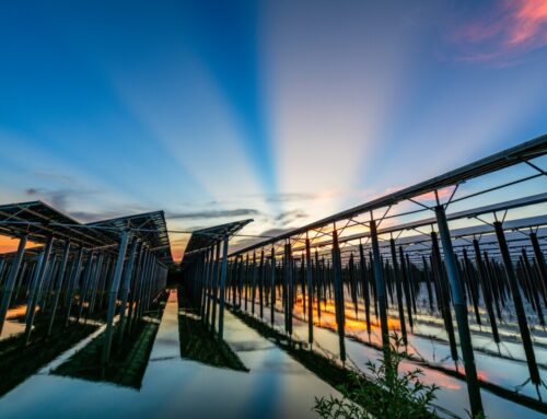 How Do We Use Solar Energy Daily?
